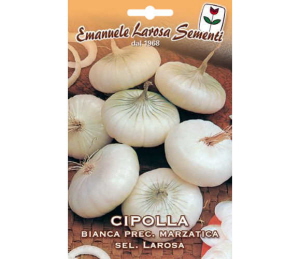 Oignon Blanc Précoce E.Larosa.