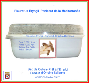 Kit Bac de Culture Pleurote du Panicaut du Sud 2,350 Litres
