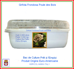 Kit Bac de Culture Poule des Bois 2,350 Litres.