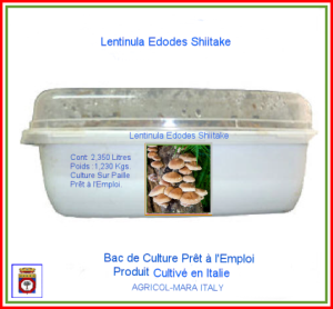 Kit Bac de Culture Lentinula Edodes Shiitake 2,350 Litres