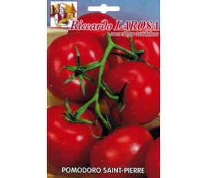 Tomate Grappe Rouge Saint Pierre.