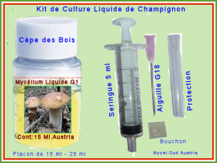 Kit C ulture Liquide G1 Cèpe Calabrais