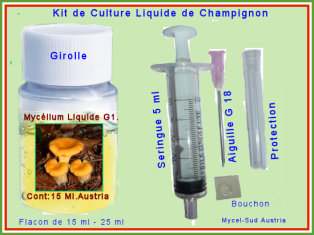 Kit Culture Liquide G1 Girolles 