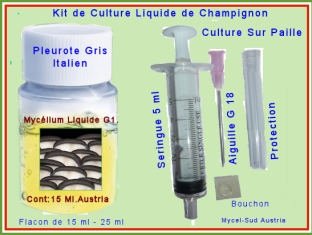 Kit Culture Liquide G1 Pleurote Gris Géant.