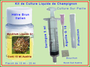 Kit Culture Liquide G1 Champignon Hêtre Brun