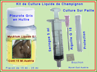Kit Culture Liquide G1 Pleurote Gris en Hûitre