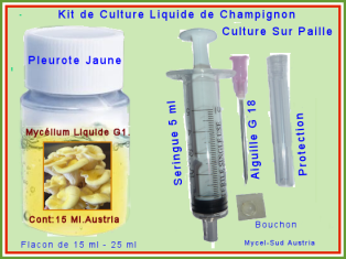 Kit Culture Liquide G1 Pleurote Jaune Citron
