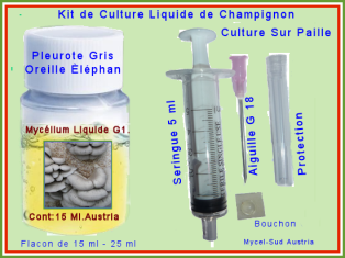 Kit Culture Liquide G1 Pleurote Gris Oreille Èlèphan