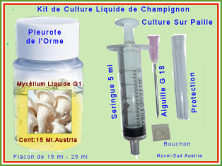 Kit Culture Liquide G1 Pleurote de l'Orme