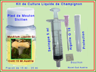 Kit Culture Liquide G1 Pied de Mouton Sicilien