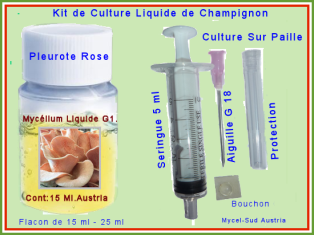 Kit Culture Liquide G1 Pleurote Rose Amor