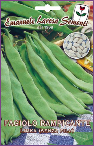 Haricot Vert Mange tout à Rame Variété:Limka