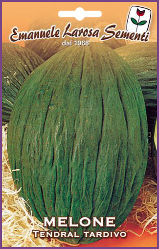 Melon Vert Tardif