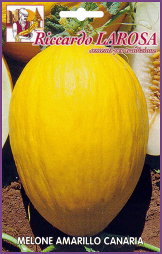 Melon Jaune Canari