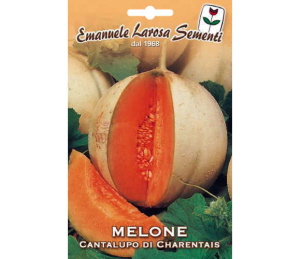 Melon Cantaloup de Charente.