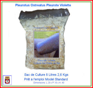 Kit Sac de Culture de Pleurote Violette du Canada 8,000 Litres