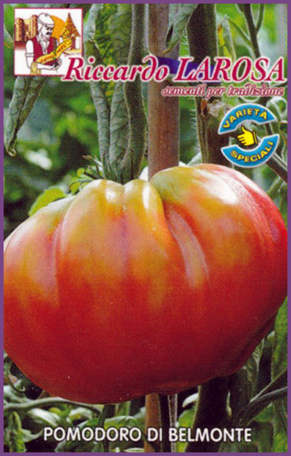 Tomate Belmonte Très Gros Fruit RL